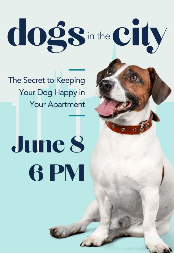 Dogs in the City Event Image